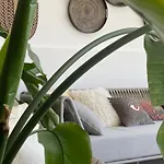 Lejlighed Luxury With Pool & Sea View-10 Minutes From Monaco Èze