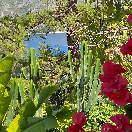 Hidden Paradise Luxury Sea View Villa Eze * Èze